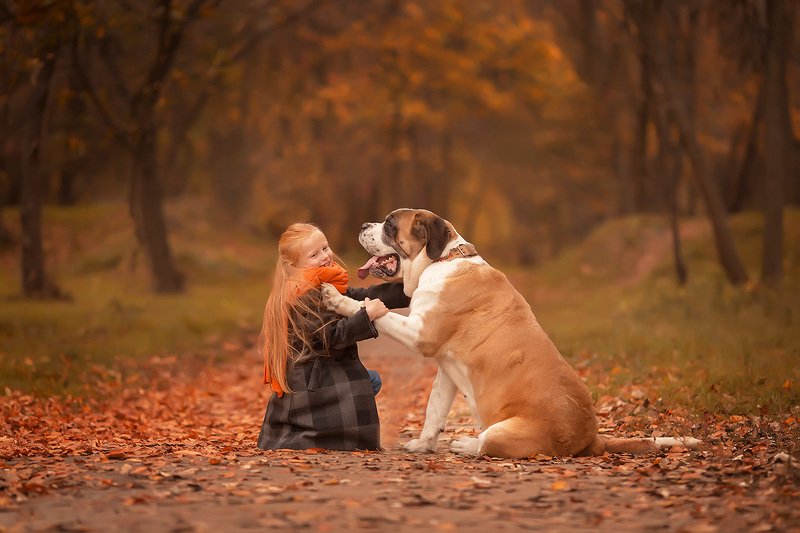 Рыжульки фото превью