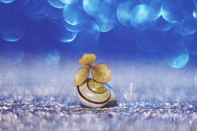 ... фото превью