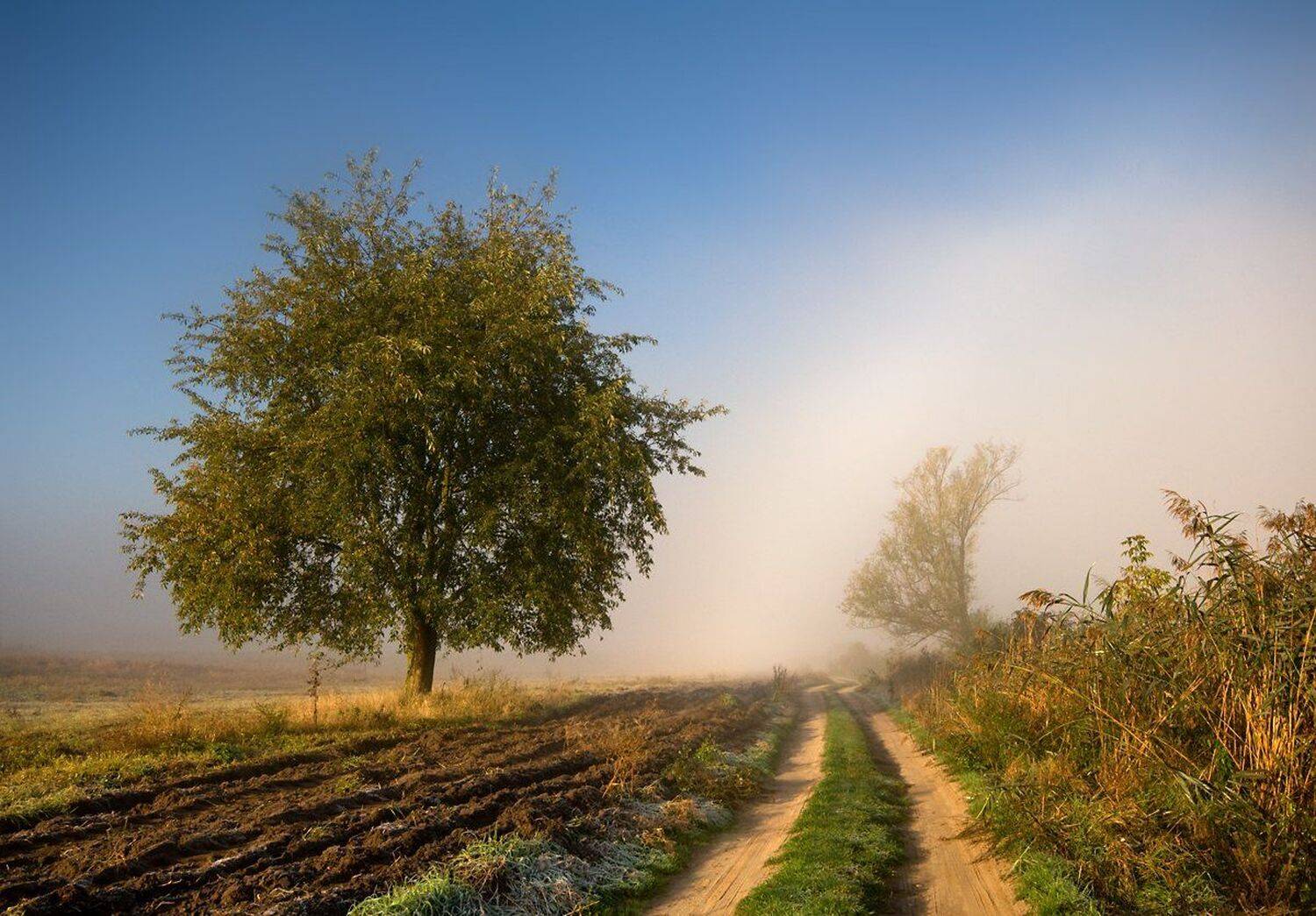 sunny, morning..., Mirek Grobelski