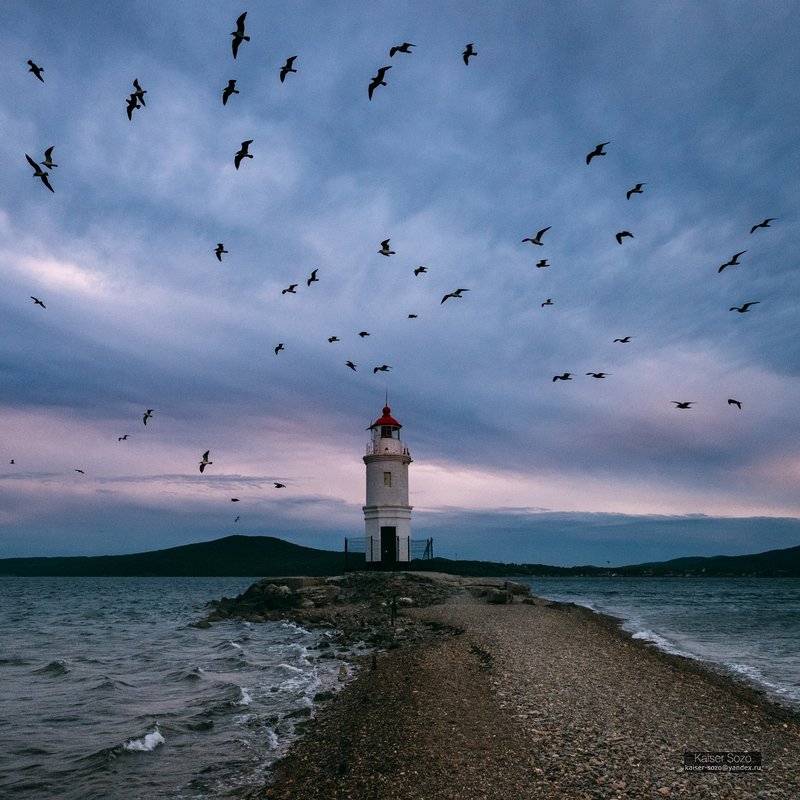 россия, приморье, владивосток, маяк, токаревский, тайфун, чайки Токаревский маяк фото превью