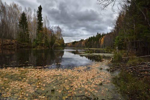 хмурая осень