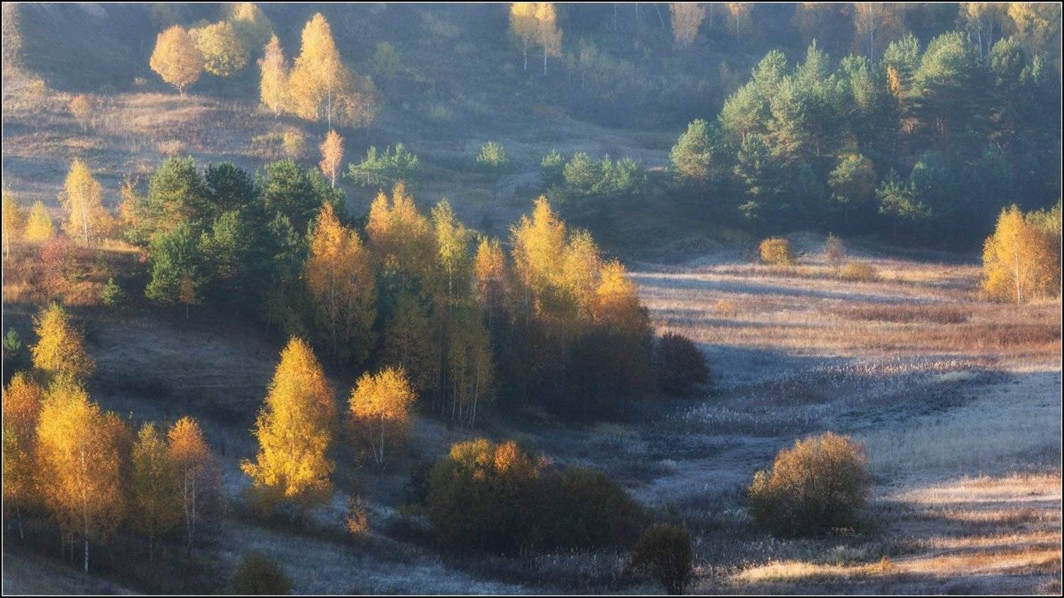 , Александр Марецкий