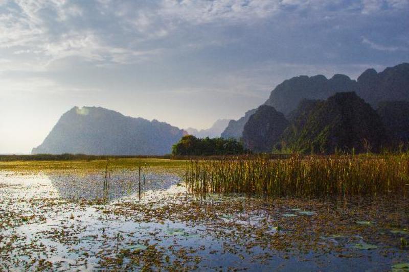 Vân Long swamp фото превью