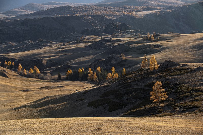 Ритмы Курая фото превью