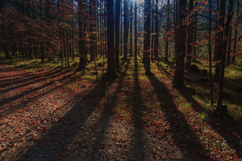 Игра теней фото превью