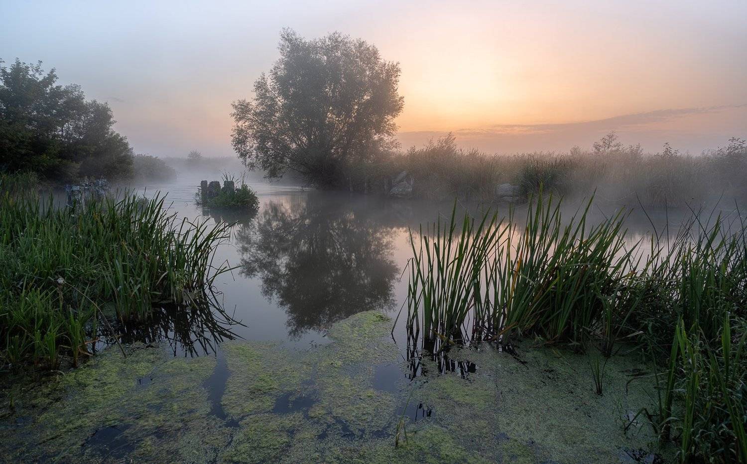 , Александр Бредихин