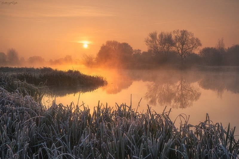 warta, morning, autumn, fog, trees, river, nature  фото превью