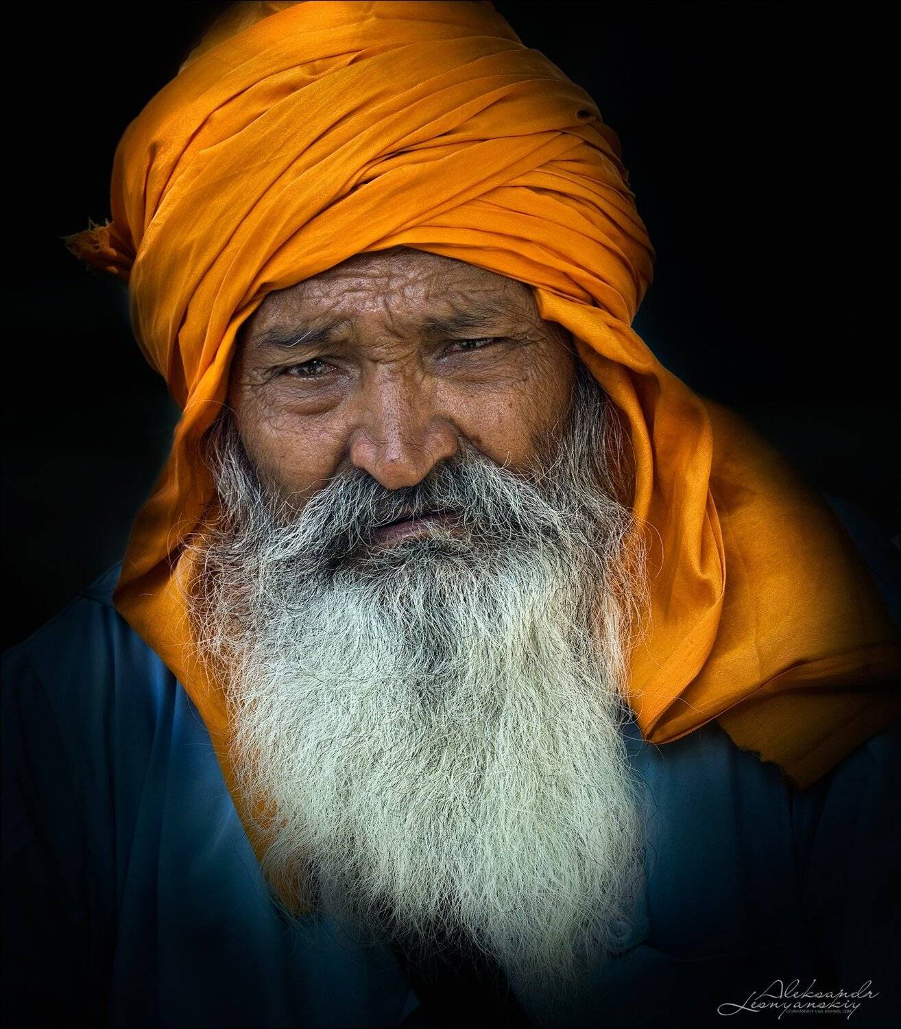 индия, Александр Леснянский