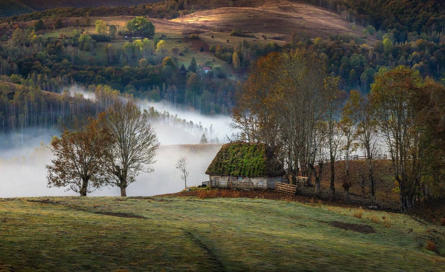 , Елена Маковоз