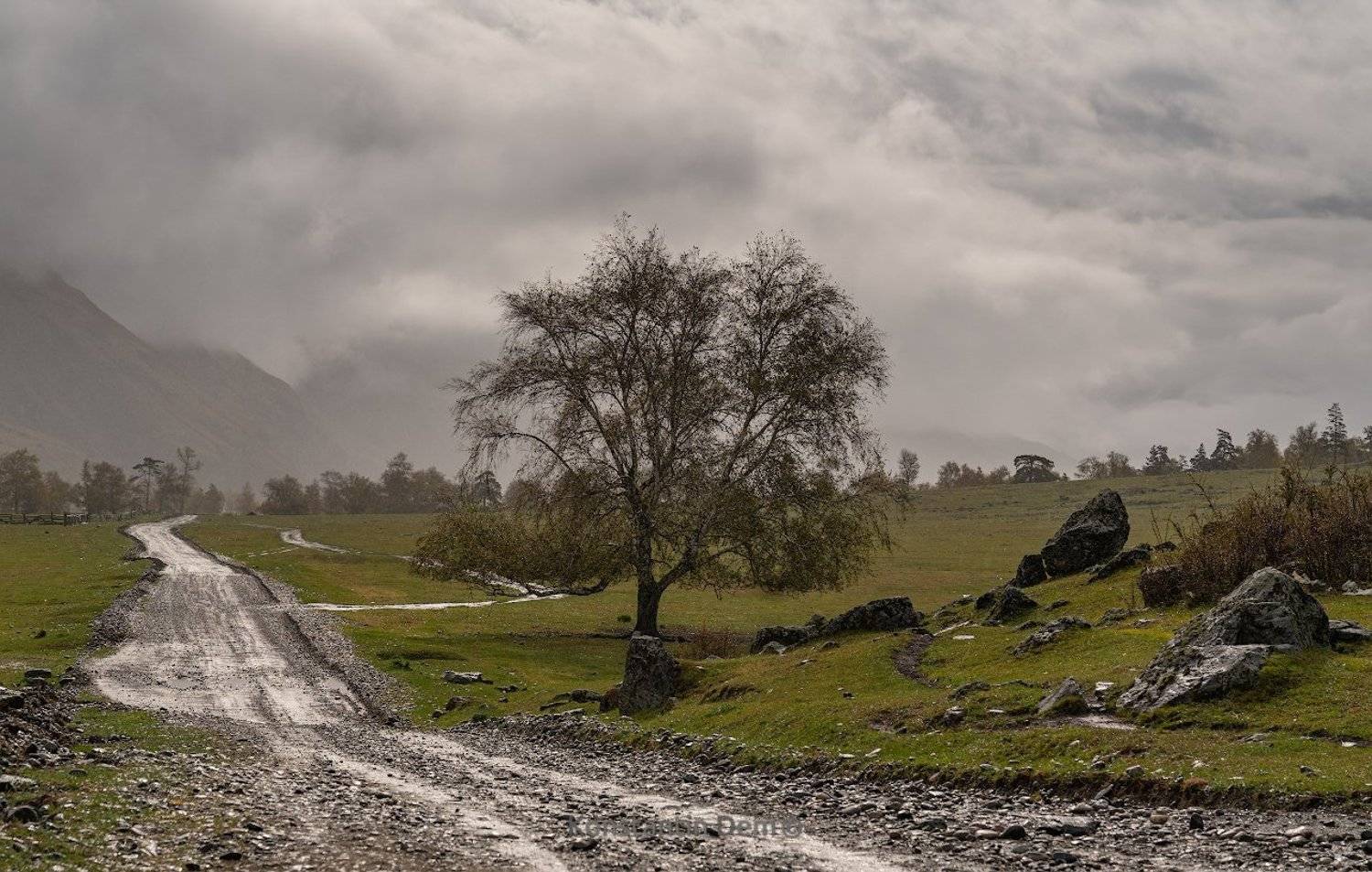 , Константин Дэм