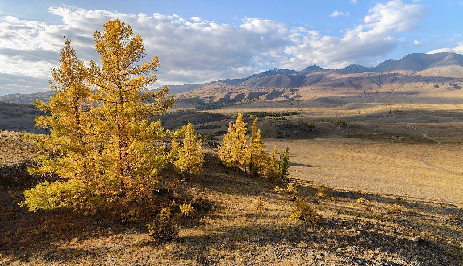 , Дмитрий Д.