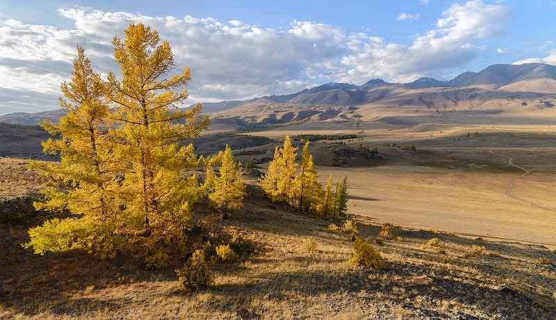 В золотых одеждах... фото превью