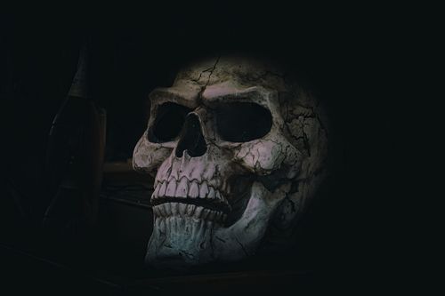 The skull