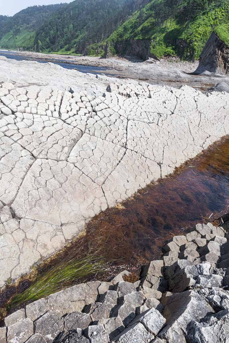 Курильские острова, Кунашир, море, берег, базальт, столбчатая отдельность, мыс Столбчатый, Сергей Козинцев