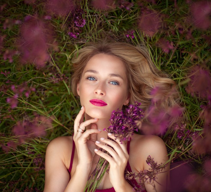 Розовое поле фото превью