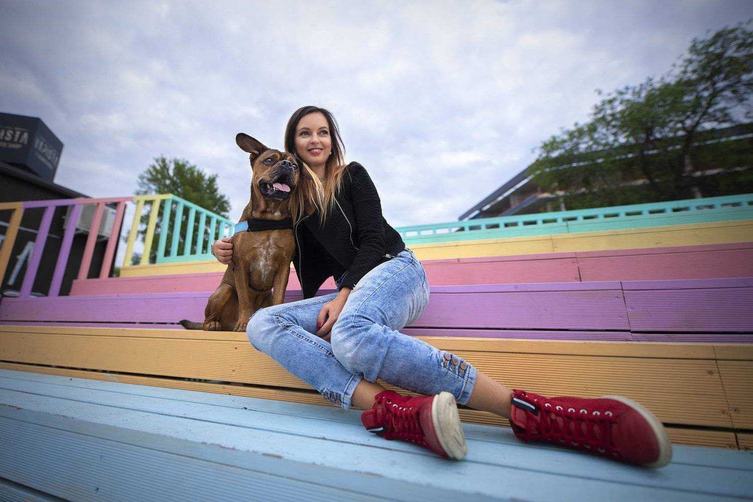 dog, mixbeed, Telliskivi kvartal, Tallinn, Karina Saarestik