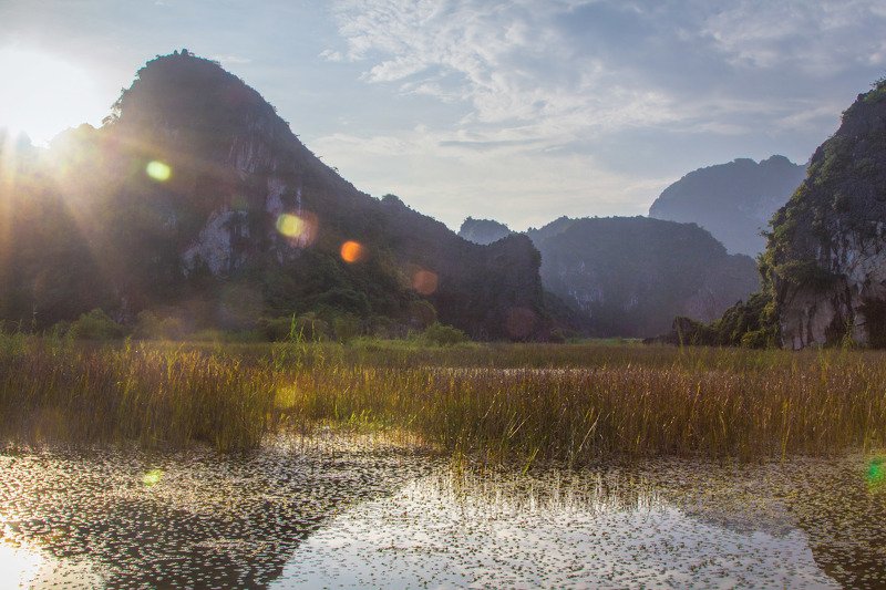 Vân Long swamp фото превью