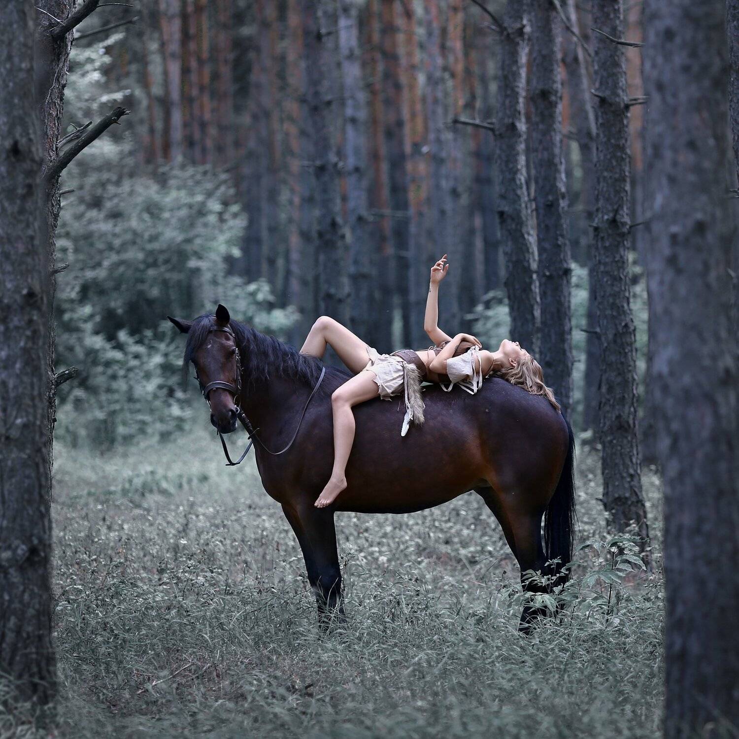 амазонка, лошадь, девушка на лошади, доверие, сосновый лес, Ирина Голубятникова