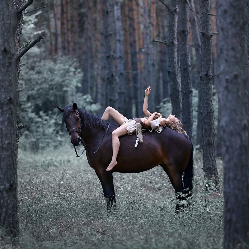 амазонка, лошадь, девушка на лошади, доверие, сосновый лес Амазонка фото превью