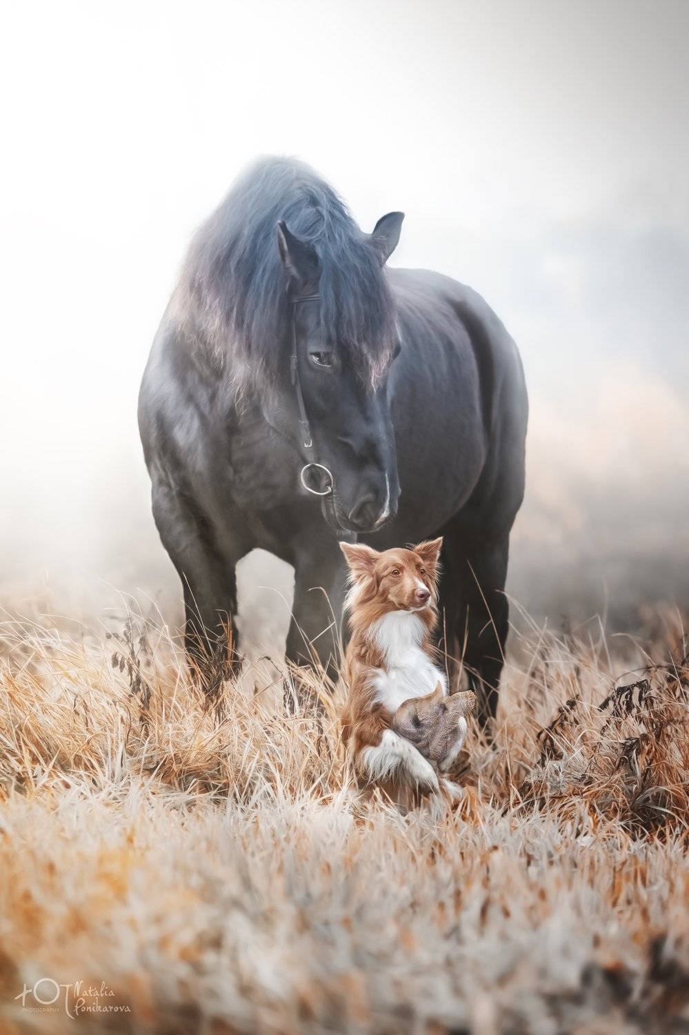 , Наталия Поникарова