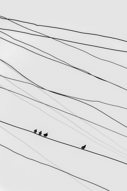 mohib ali photography Loneliness фото превью