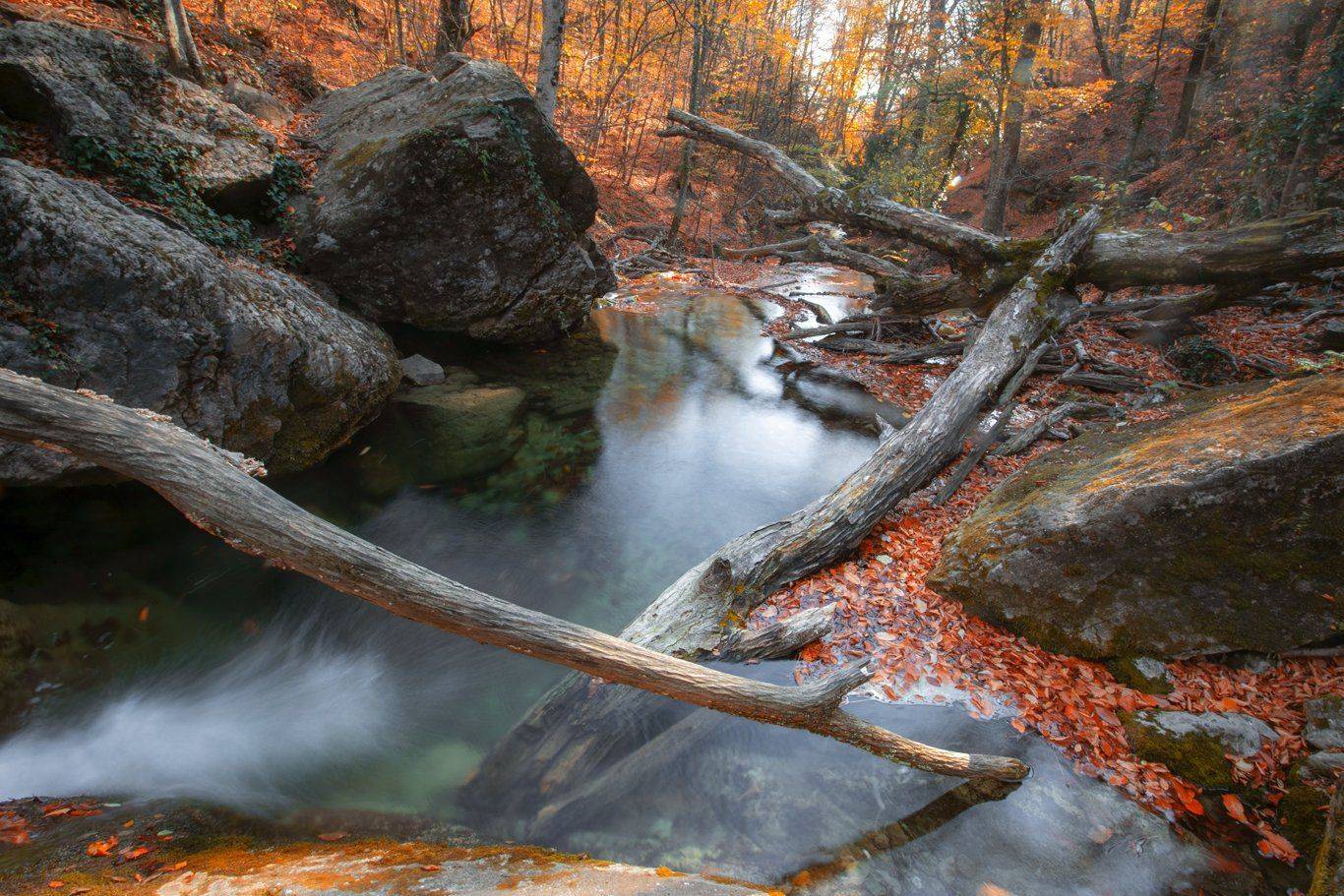 , Андрей Ершов