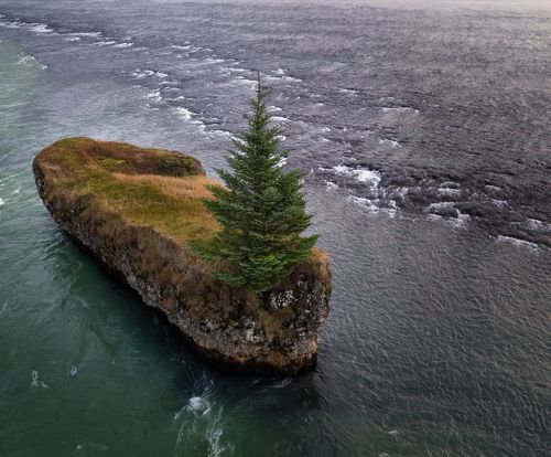 Одинокая.....