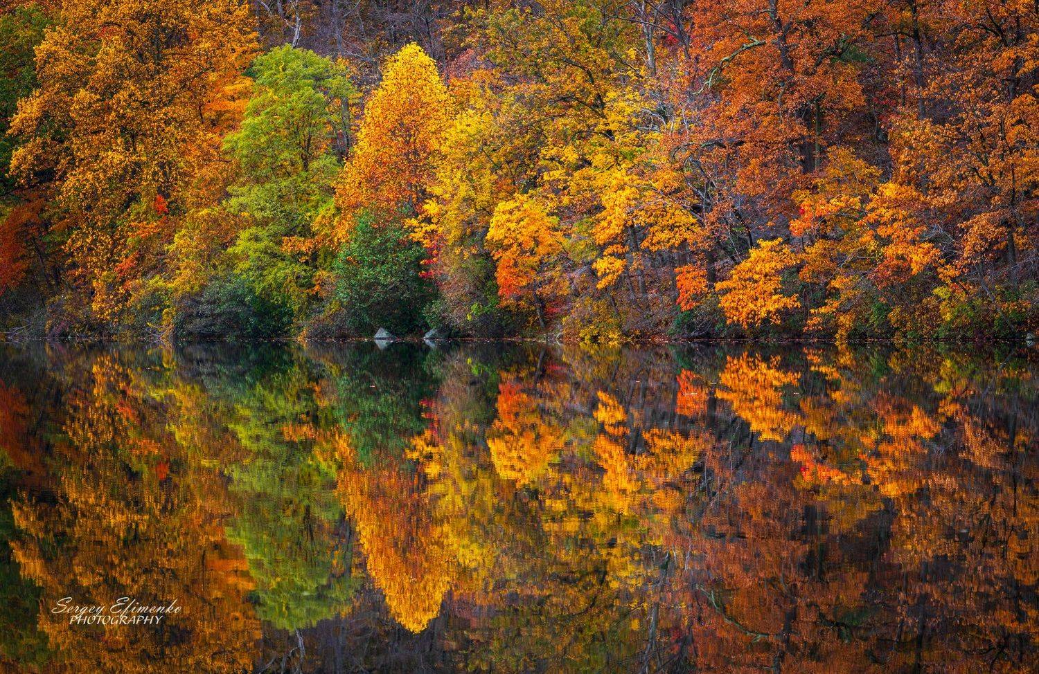 autumn reflections leaves bearmountain, Sergei Efimenko