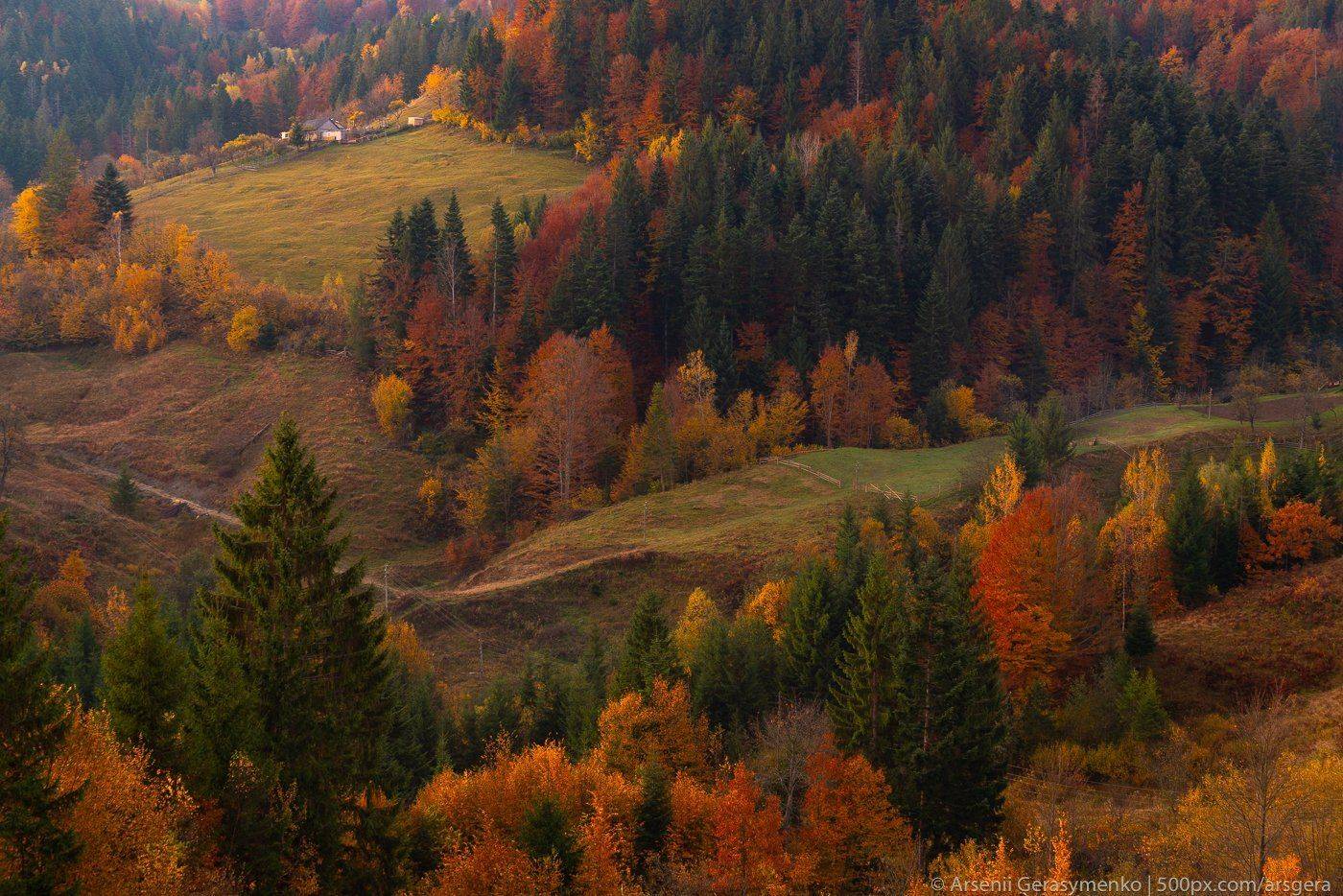 hut, carpathians, carpathian mountains, pasture, countryside, mood, tranquil, houses, wooden, rural, mountains, foliage, wonderland, land, meadow, field, scenic, fall, background, tree, outdoor, forest, color, colorful, alpine, hill, scenery, yellow, coun, Арсений Герасименко