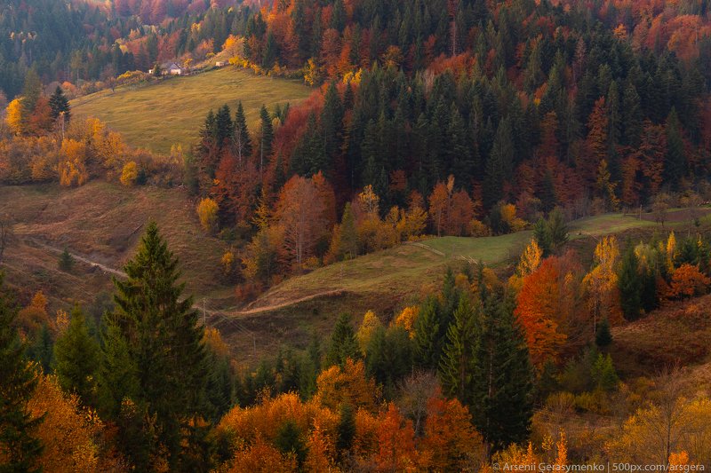 hut, carpathians, carpathian mountains, pasture, countryside, mood, tranquil, houses, wooden, rural, mountains, foliage, wonderland, land, meadow, field, scenic, fall, background, tree, outdoor, forest, color, colorful, alpine, hill, scenery, yellow, coun Village Houses and autumn foliage trees in the mountains. Meadow and forest in the carpathian mountains фото превью