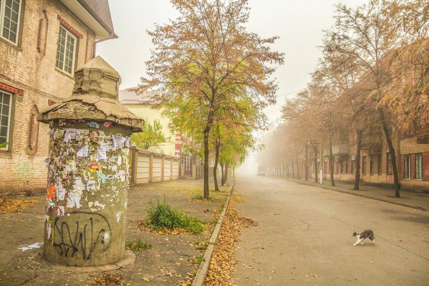 пейзаж, город, туман, Игорь Квочка