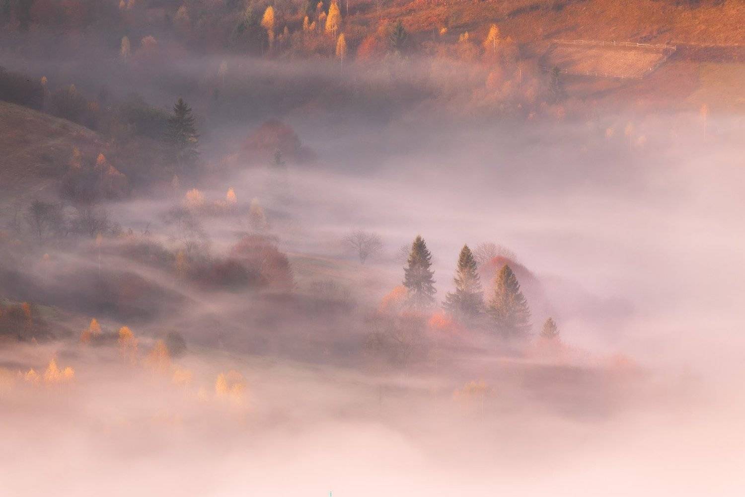 горы, карпаты, октябрь, осень, рассвет, туман, украина, утро, Вейзе Максим