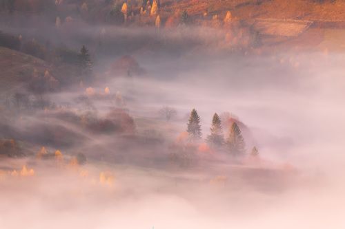 Под туманным одеялом