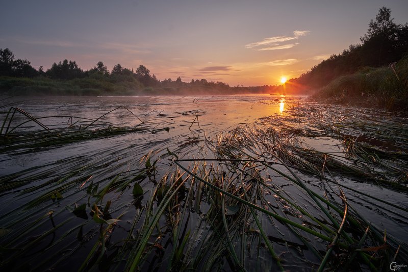 утро,река,молога,рассвет,пейзаж,лето,трава,солнце Утро на реке фото превью