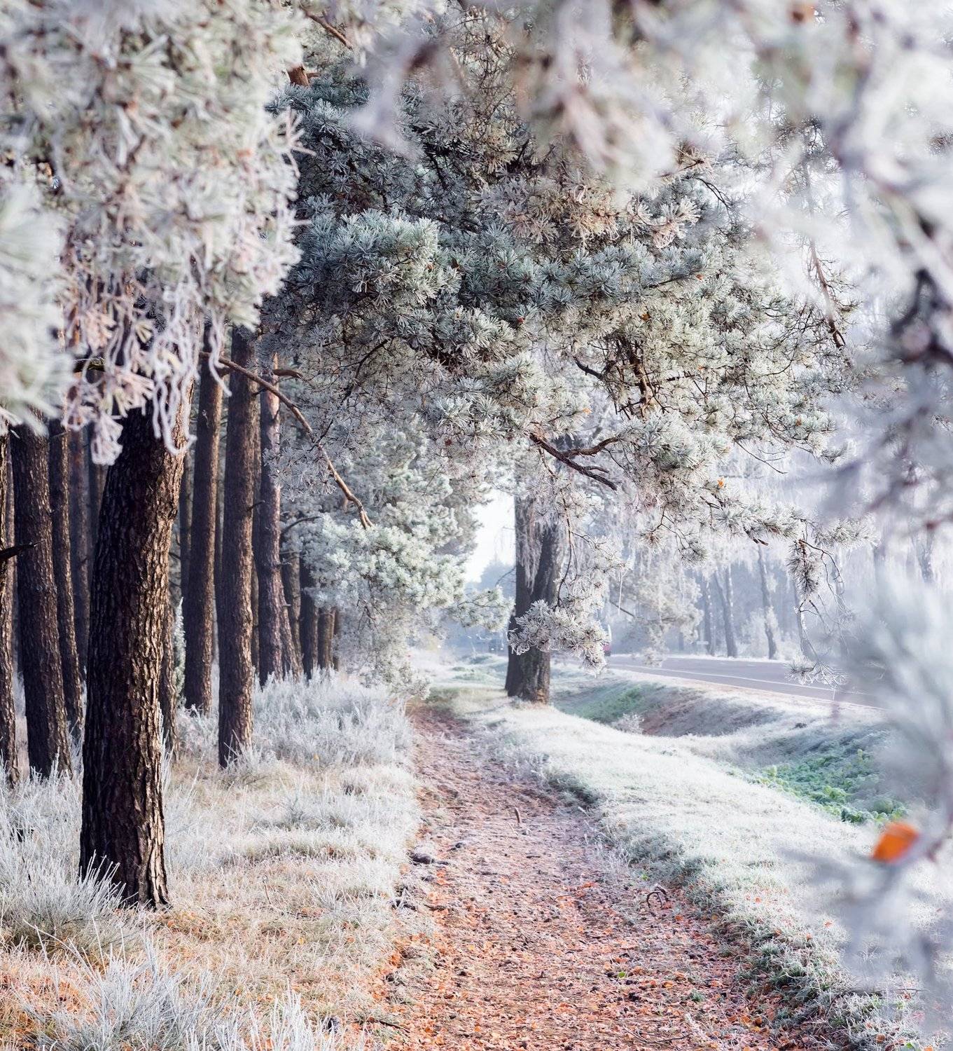 , Руслан Авдевич