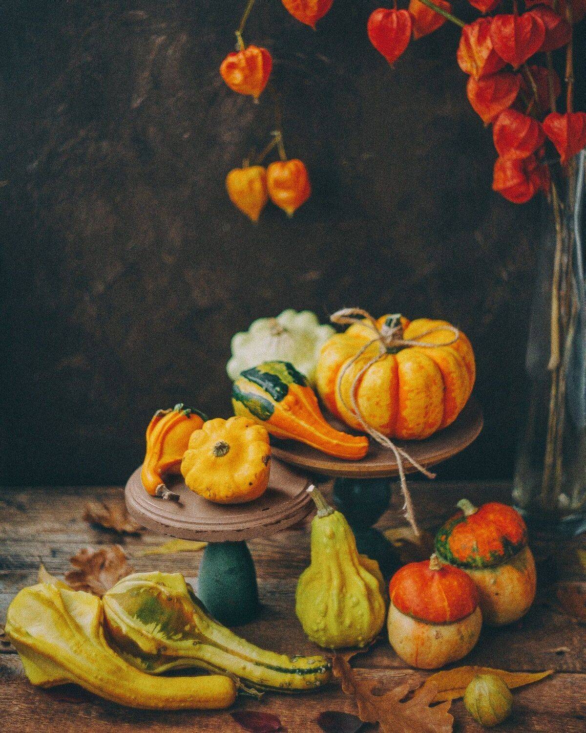 тыквы, натюрморт, осень, Анастасия Зубкова