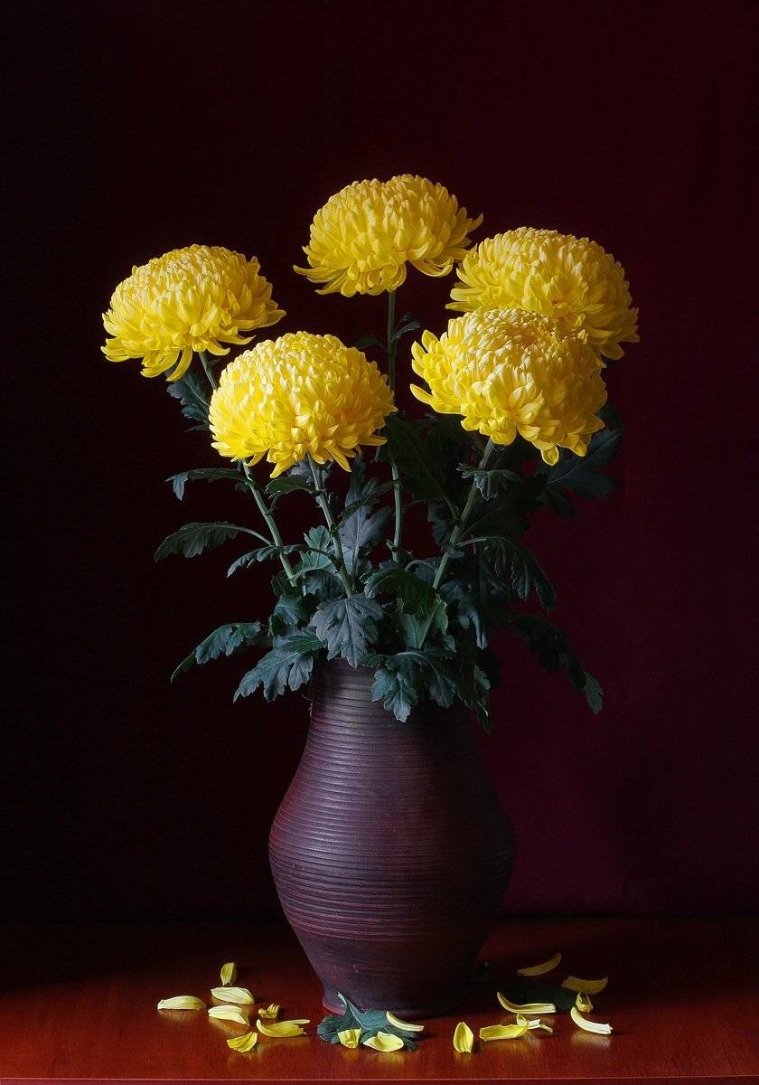 , Геннадий Петрущенко