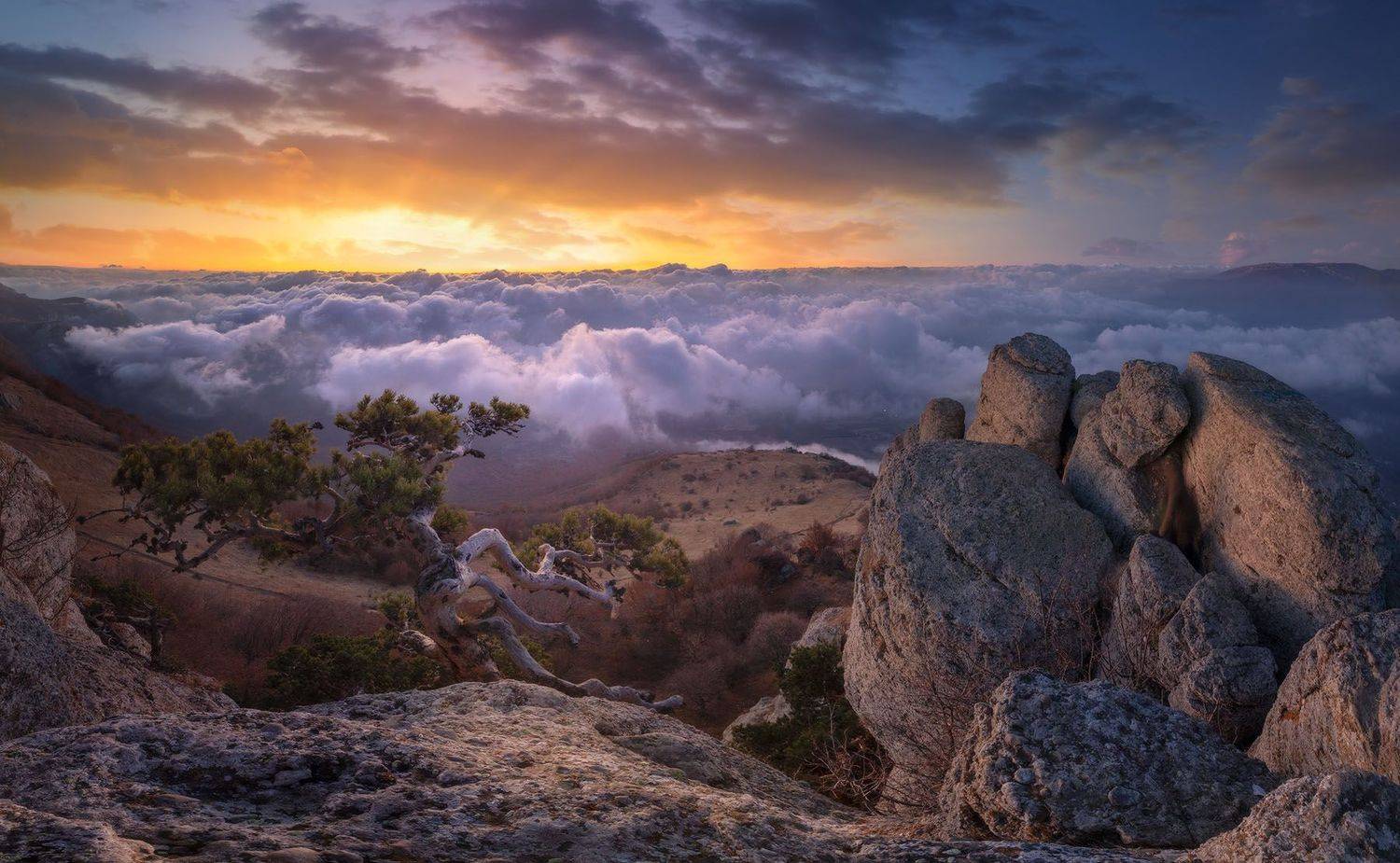 , Александр Костенко