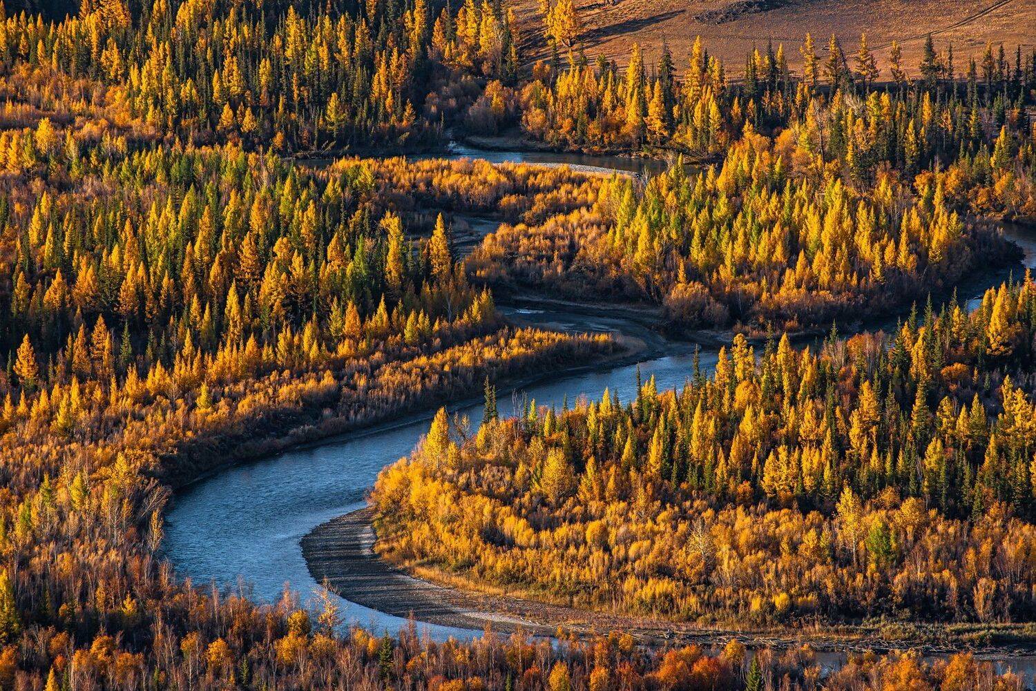 осень. алтай. горы.курай., Евгений Дроботенко