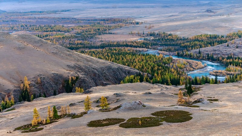 горы, алтай, горный алтай, пейзаж, природа, россия, ник васильев, красота, осень, река, чуя, Чуйские зигзаги фото превью