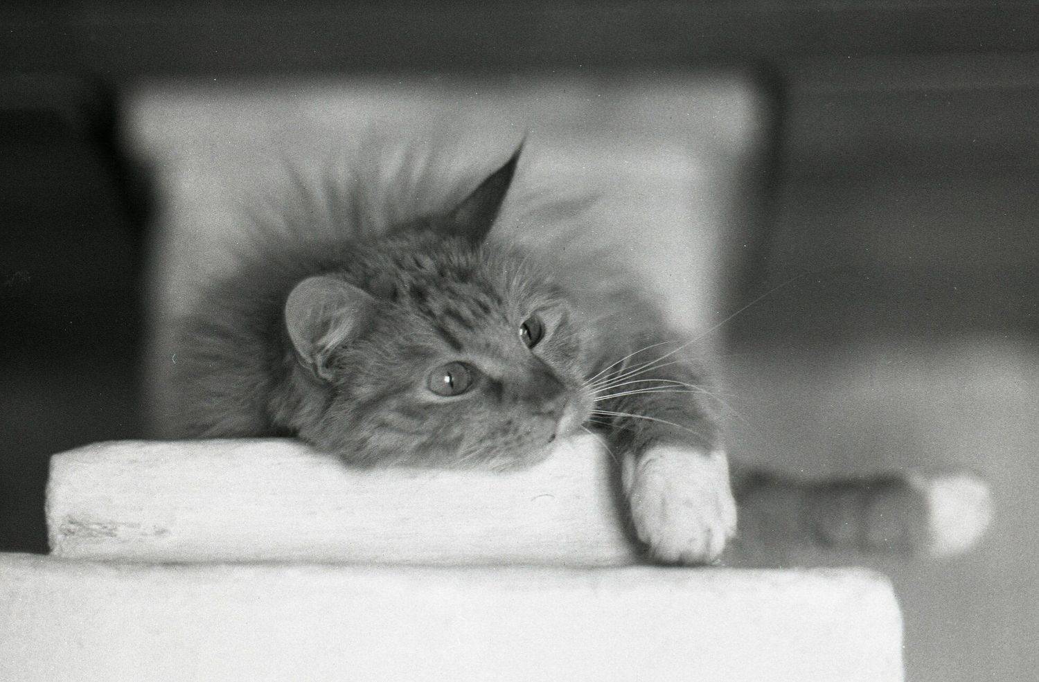 , Илья Глобин