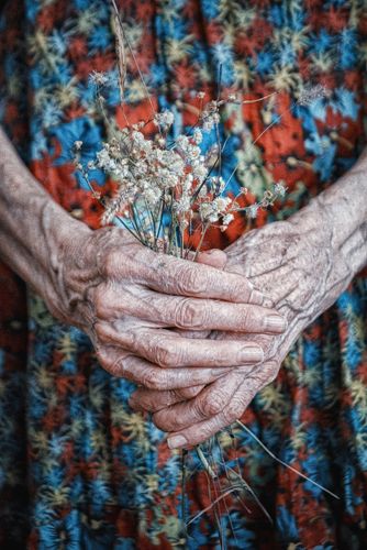 I hide myself within my flower