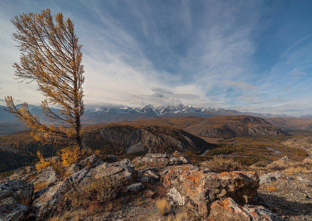 , Константин Дэм