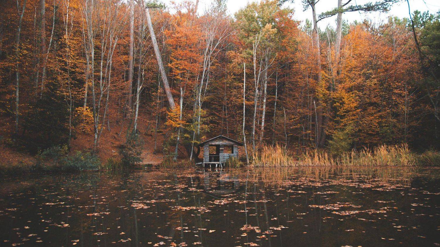 , Коровин Кирилл