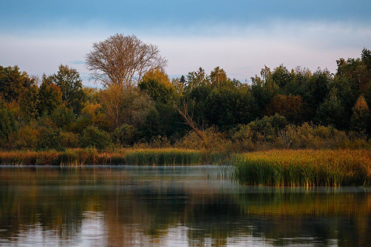 пейзаж, озеро, Сергей Сергеев