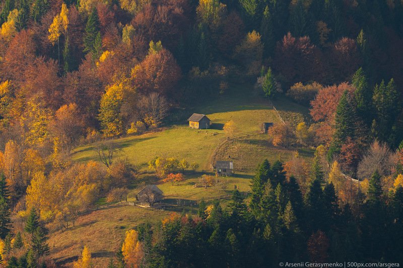 hut, carpathians, carpathian mountains, pasture, countryside, picturesque, mood, tranquil, houses, wooden, rural, mountains, foliage, wonderland, land, meadow, field, scenic, tourism, season, house, autumn, mountain, landscape, fall, background, beautiful Village Houses and autumn foliage trees in the mountains. Meadow and forest in the carpathian mountains фото превью