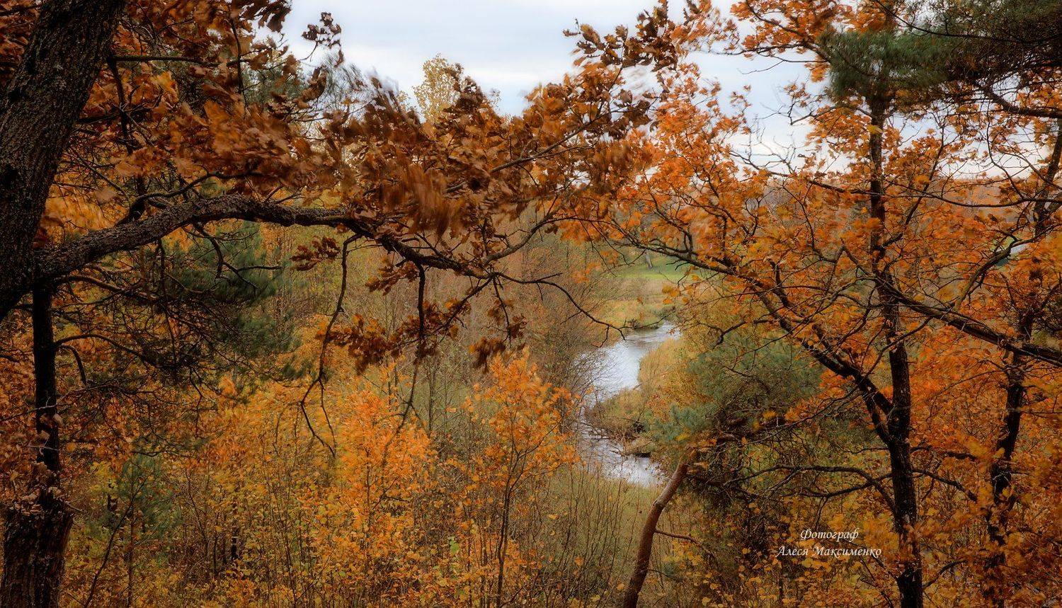 пейзаж, осень, Алеся Максименко