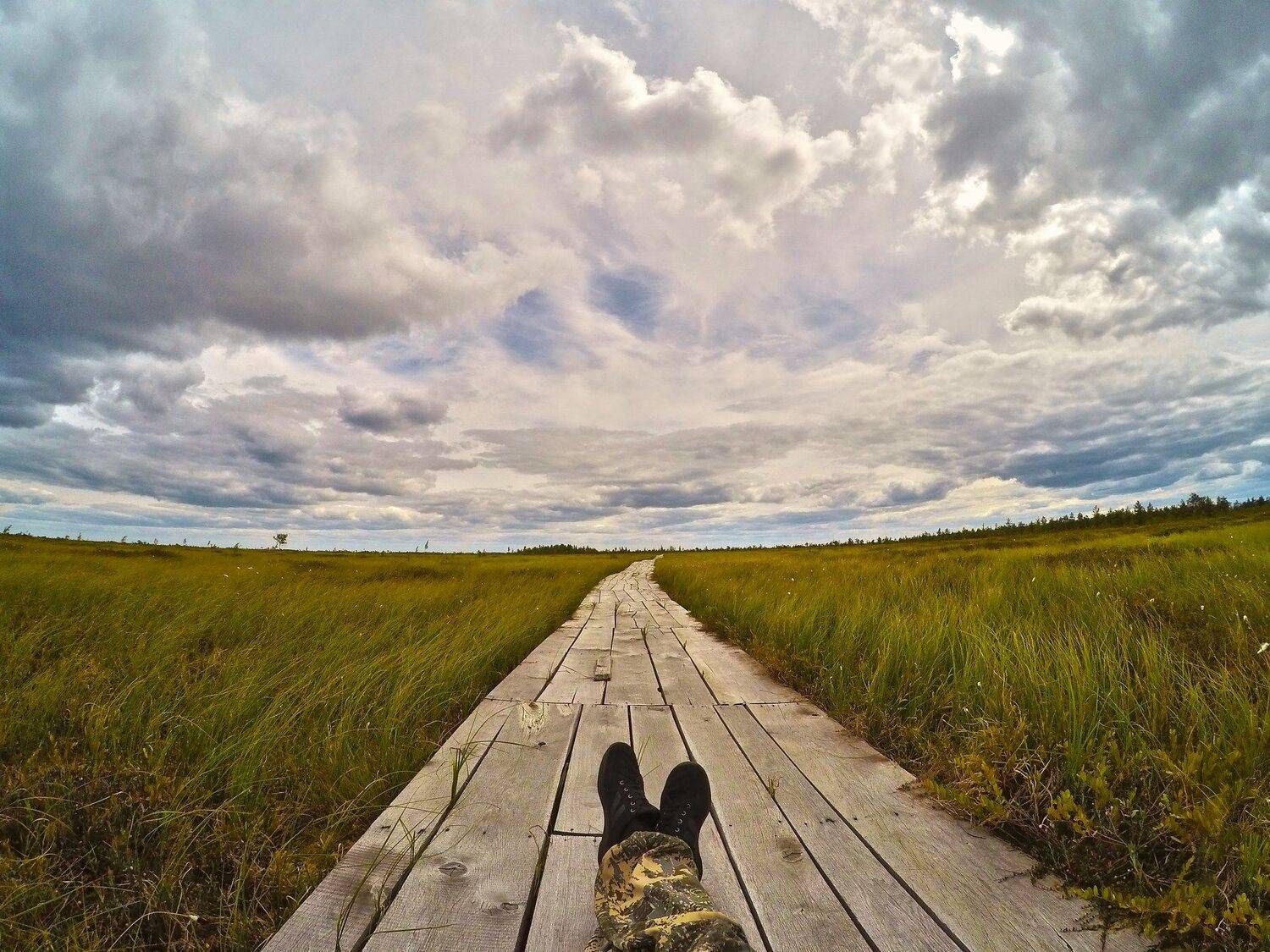 Город,абстрактно,креативно,улица,ночная улица,ночь,ночное креативное,креатив,заброшка,zapworld,завод,шар,индастриал,фото,Беларусь,новополоцк,Пейзаж, природный, небо, лес, краски, берег, вода, водоем, пруд, озеро, гладь, камыш, тростник, трава, отражение, , Sergey Shevtsov