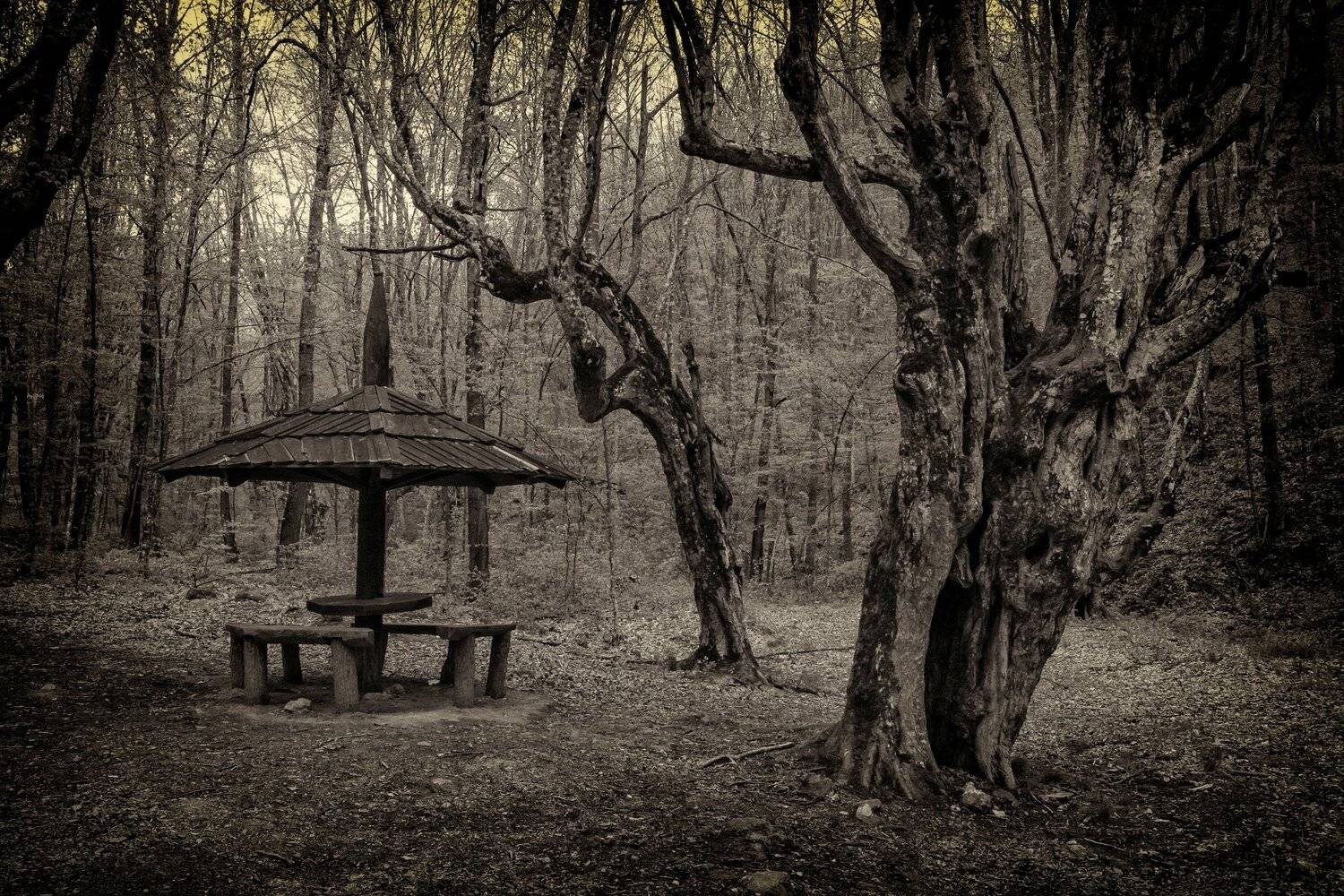 , Бистра Стоименова