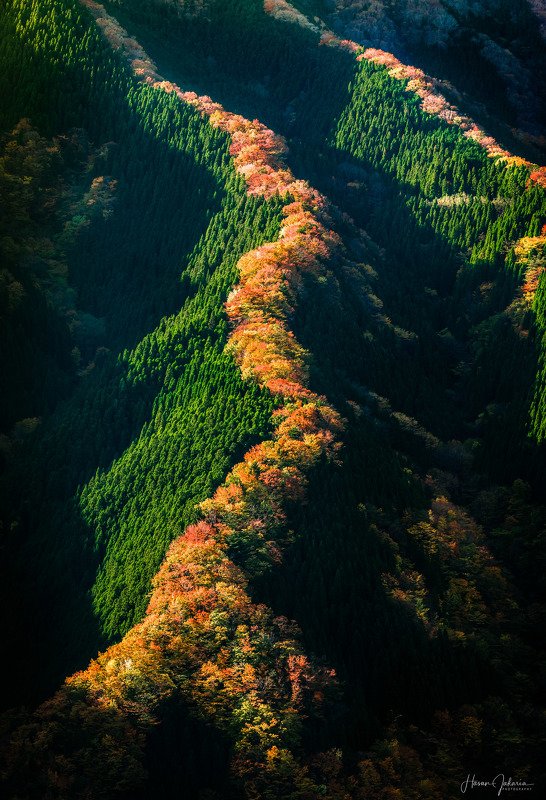 nature landscape japan mountain morning nara autumn colors Miracle Valley Namego фото превью
